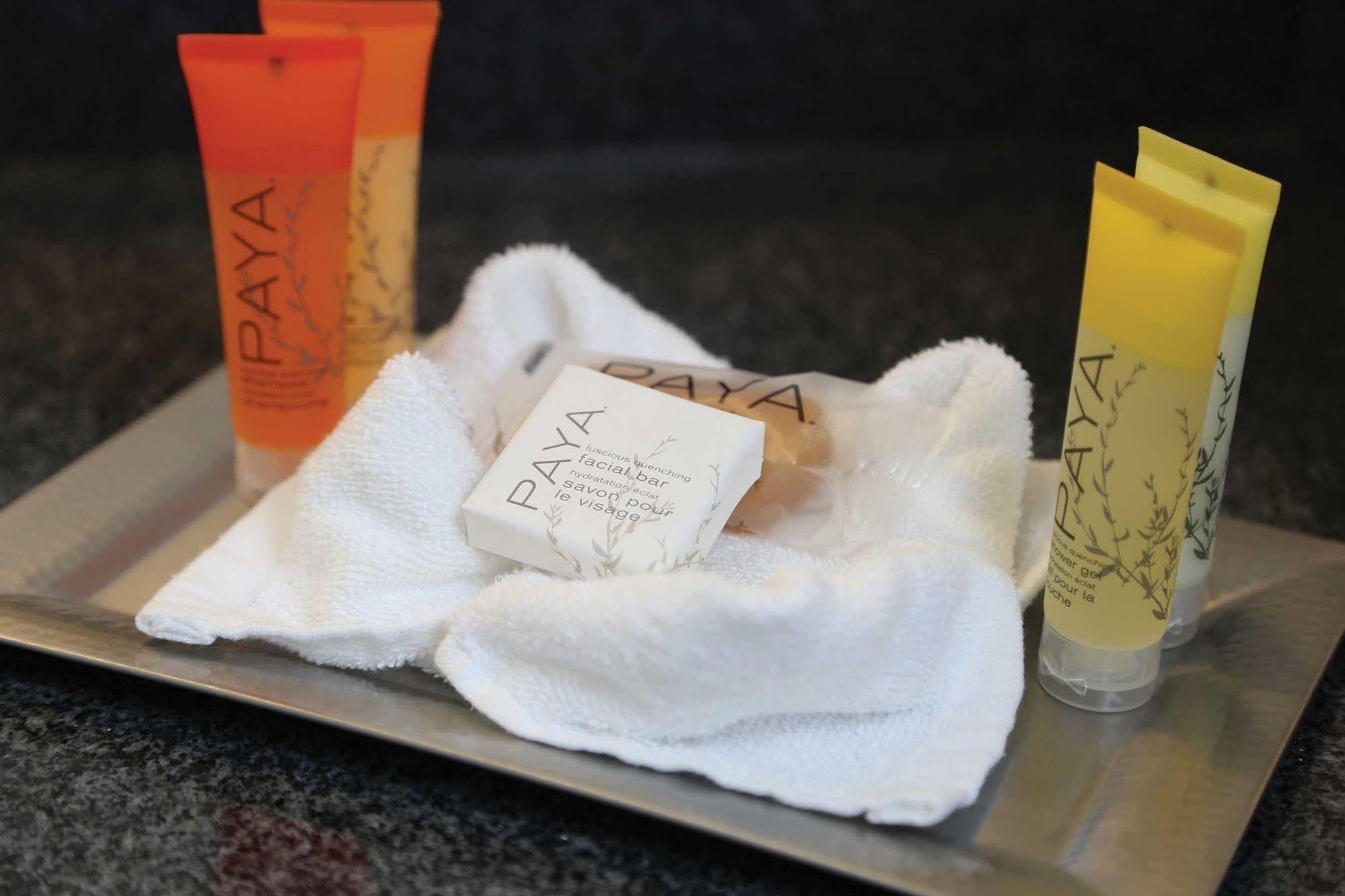Hotel Surfbreak Virginia Oceanfront, Ascend Collection Virginia Beach